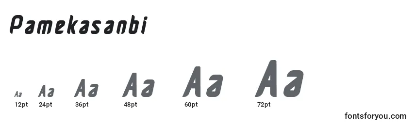 Размеры шрифта Pamekasanbi