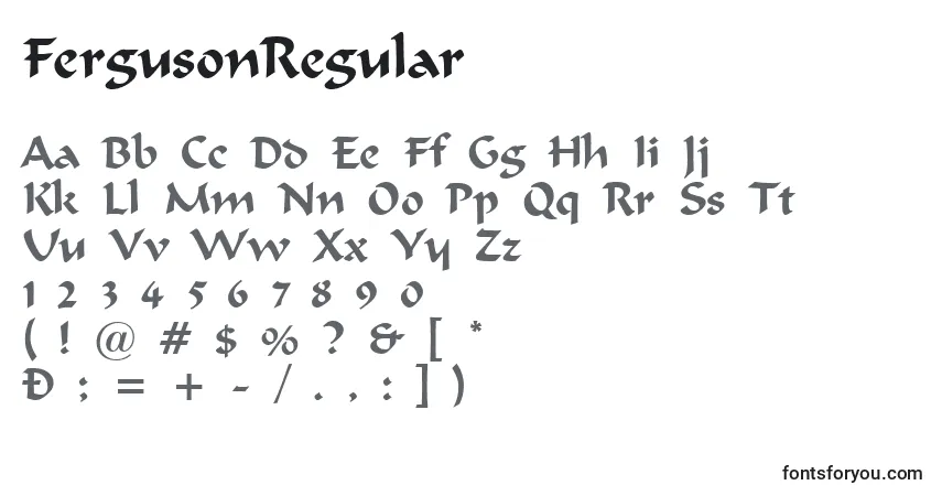 Schriftart FergusonRegular – Alphabet, Zahlen, spezielle Symbole