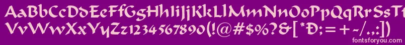FergusonRegular Font – Pink Fonts on Purple Background