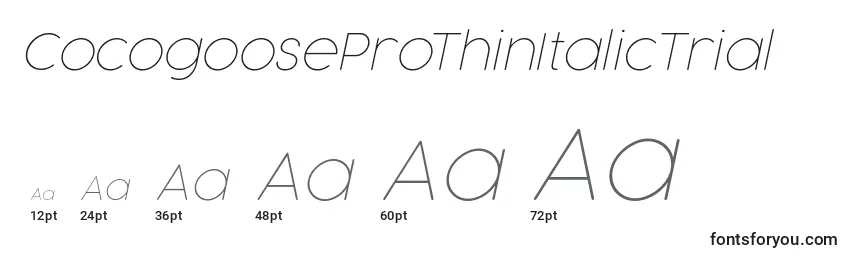 CocogooseProThinItalicTrial Font Sizes
