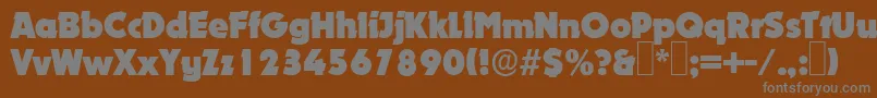 D891DecoRegular Font – Gray Fonts on Brown Background