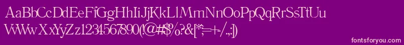 Literature Font – Pink Fonts on Purple Background