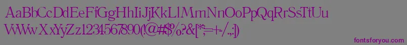 Literature Font – Purple Fonts on Gray Background