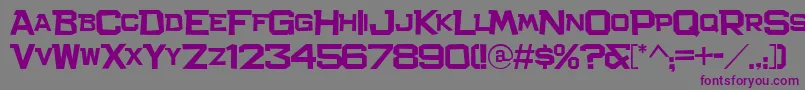 Шрифт Bachelor – фиолетовые шрифты на сером фоне