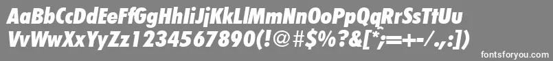 フォントFunctioncondtwoextraboldRegularitalic – 灰色の背景に白い文字
