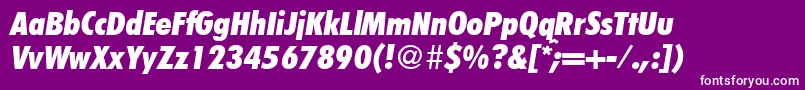 FunctioncondtwoextraboldRegularitalic Font – White Fonts on Purple Background