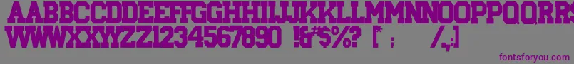 Aryshire-fontti – violetit fontit harmaalla taustalla