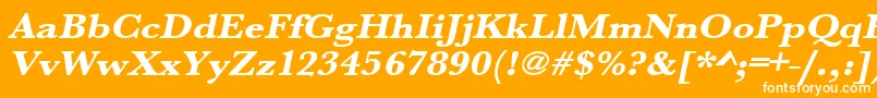 UrwbaskertextbolextwidOblique Font – White Fonts on Orange Background