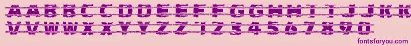 Trackers Font – Purple Fonts on Pink Background