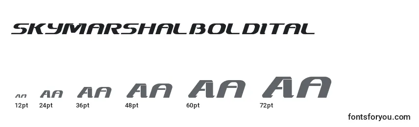 Skymarshalboldital Font Sizes