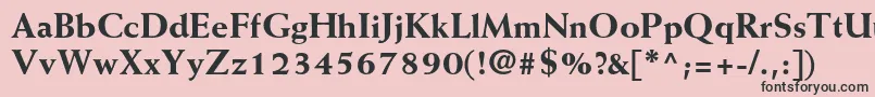 フォントWeissstdExtrabold – ピンクの背景に黒い文字