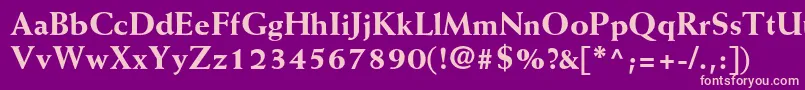 WeissstdExtrabold Font – Pink Fonts on Purple Background