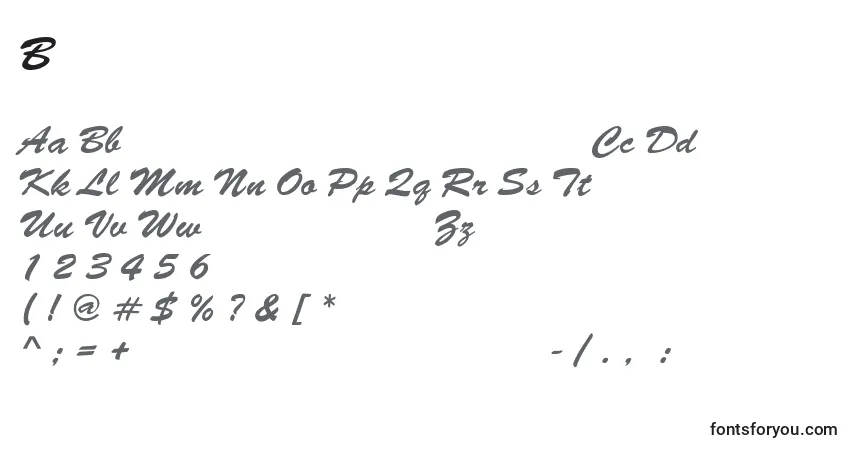 BrushscriptNormalItalicフォント–アルファベット、数字、特殊文字