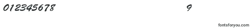 BrushscriptNormalItalic Font – Fonts for Numbers and Digits