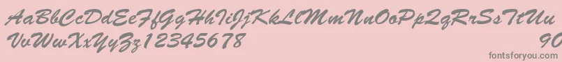 BrushscriptNormalItalic Font – Gray Fonts on Pink Background