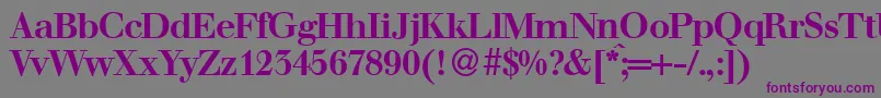 WalbaumdisplayBold Font – Purple Fonts on Gray Background