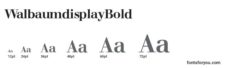 WalbaumdisplayBold Font Sizes