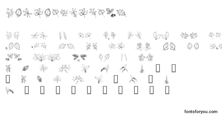 Schriftart Arborisfolium – Alphabet, Zahlen, spezielle Symbole