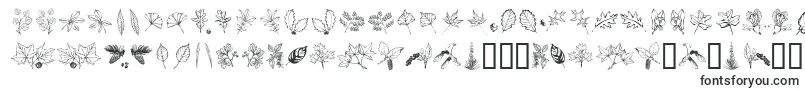 Czcionka Arborisfolium – czcionki dla Google Chrome