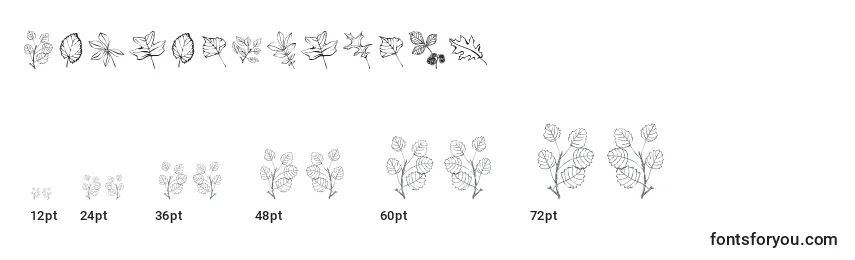 Größen der Schriftart Arborisfolium
