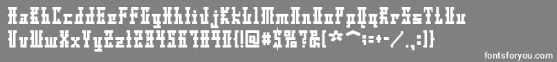 フォントDsAyaksNormal – 灰色の背景に白い文字