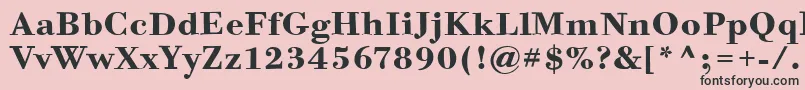 BodoniSixItcBold Font – Black Fonts on Pink Background