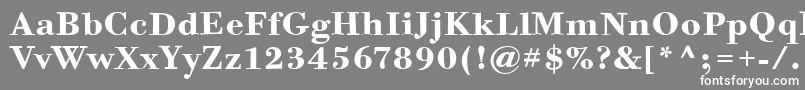 フォントBodoniSixItcBold – 灰色の背景に白い文字