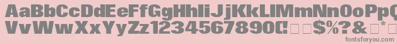 Police SurinDisplaySsi – polices grises sur fond rose