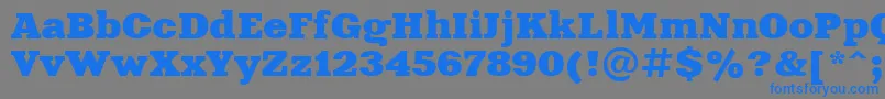Xna81C-fontti – siniset fontit harmaalla taustalla