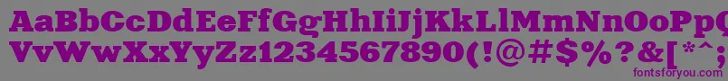 Xna81C Font – Purple Fonts on Gray Background
