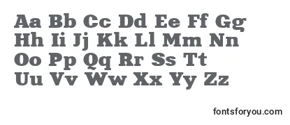 Обзор шрифта Xna81C