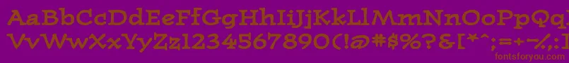 WesternpressexpandedsskBold Font – Brown Fonts on Purple Background