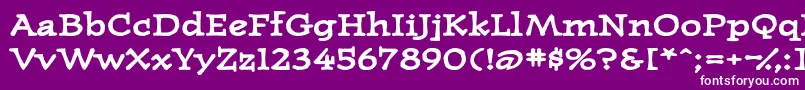 WesternpressexpandedsskBold Font – White Fonts on Purple Background