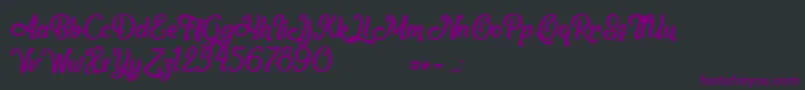 AnotherDayInParadise Font – Purple Fonts on Black Background