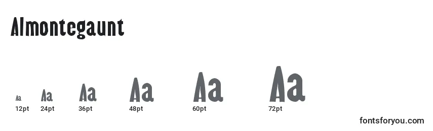 Размеры шрифта Almontegaunt