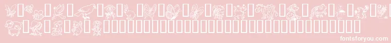 Critdsb Font – White Fonts on Pink Background