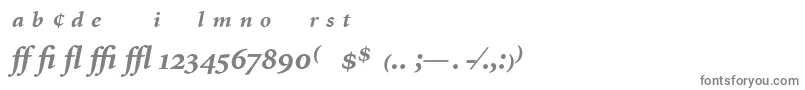 Fonte MinionExpertBoldItalic – fontes cinzentas