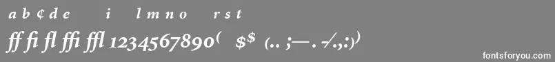 Más sobre la fuente MinionExpertBoldItalic fuente MinionExpertBoldItalic – Fuentes Blancas Sobre Fondo Gris