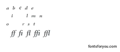 MinionExpertBoldItalic-fontti