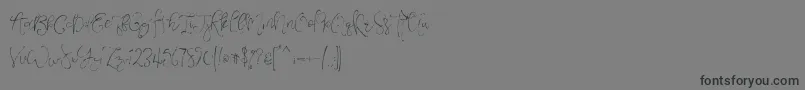 フォントVeronaLotteScript – 黒い文字の灰色の背景