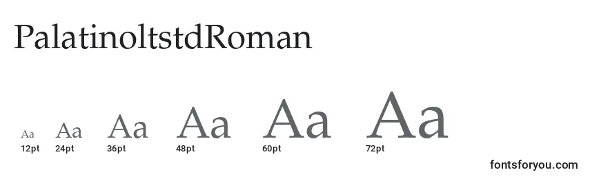 PalatinoltstdRoman Font Sizes