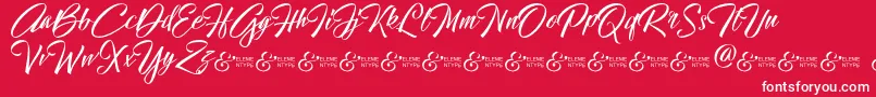 HallelujahDemo Font – White Fonts on Red Background