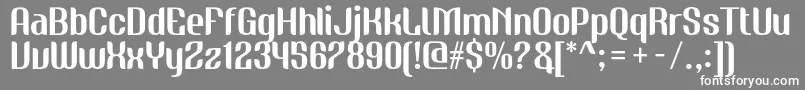 NudelyRegularOneDemoVersion Font – White Fonts on Gray Background