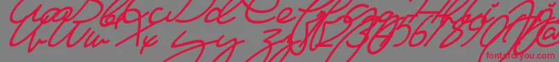 MaFilleSlant Font – Red Fonts on Gray Background