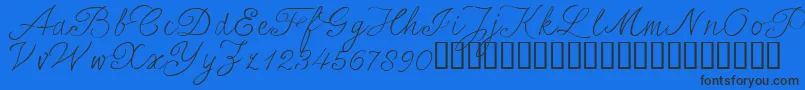 SersalT Font – Black Fonts on Blue Background