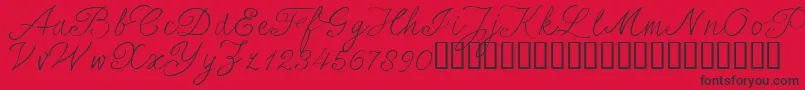 SersalT Font – Black Fonts on Red Background