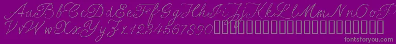 SersalT Font – Gray Fonts on Purple Background