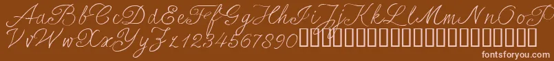 SersalT Font – Pink Fonts on Brown Background