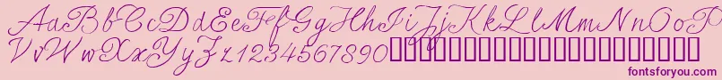 SersalT Font – Purple Fonts on Pink Background