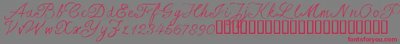 SersalT Font – Red Fonts on Gray Background